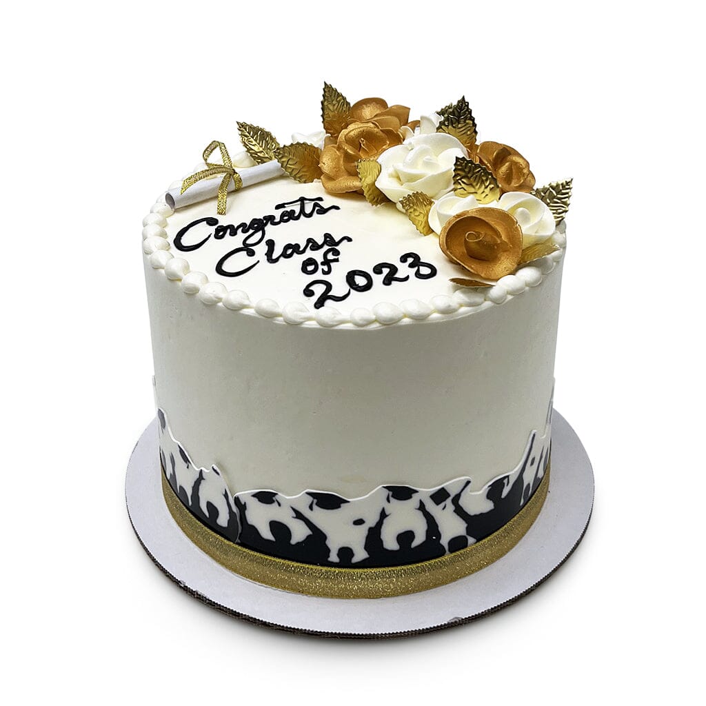 Caps in the Air Theme Cake Freed's Bakery