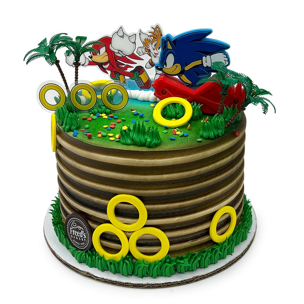 Sonic's Tropical Adventure Theme Cake Freed's Bakery 8" Round (Serves 10-15) Vanilla Cake w/ Bavarian Cream