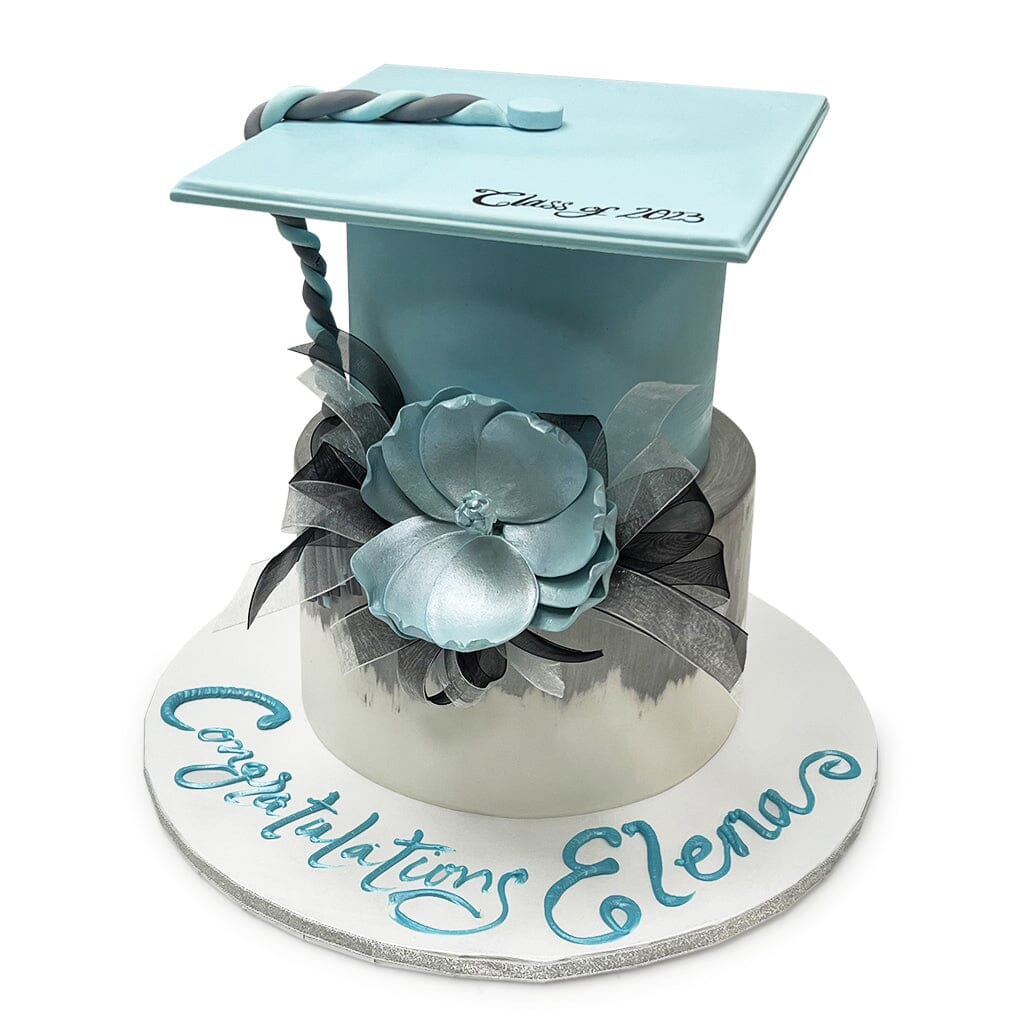 Sky's The Limit Theme Cake Freed's Bakery