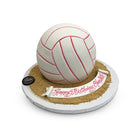 Spike It Theme Cake Freed's Bakery