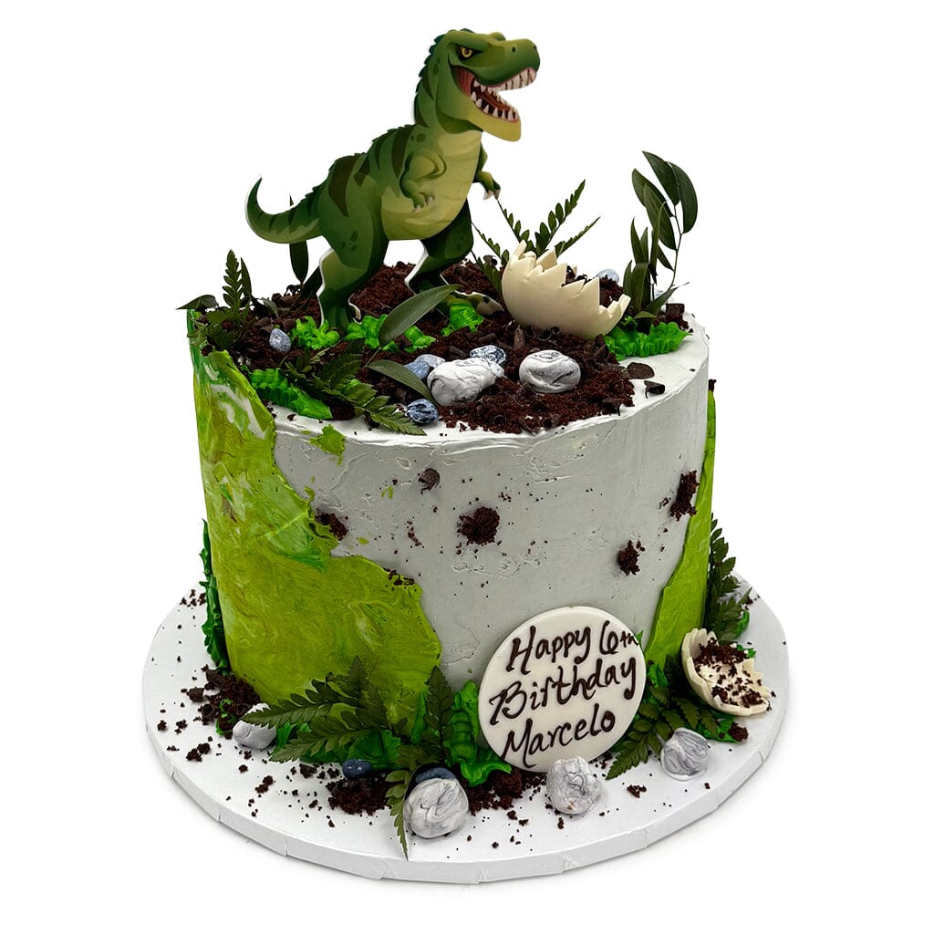 Jurassic Treat Theme Cake Freed's Bakery