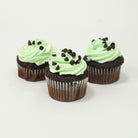 Mint Chocolate Chip Vegas Cupcake Cupcake Freed's Bakery