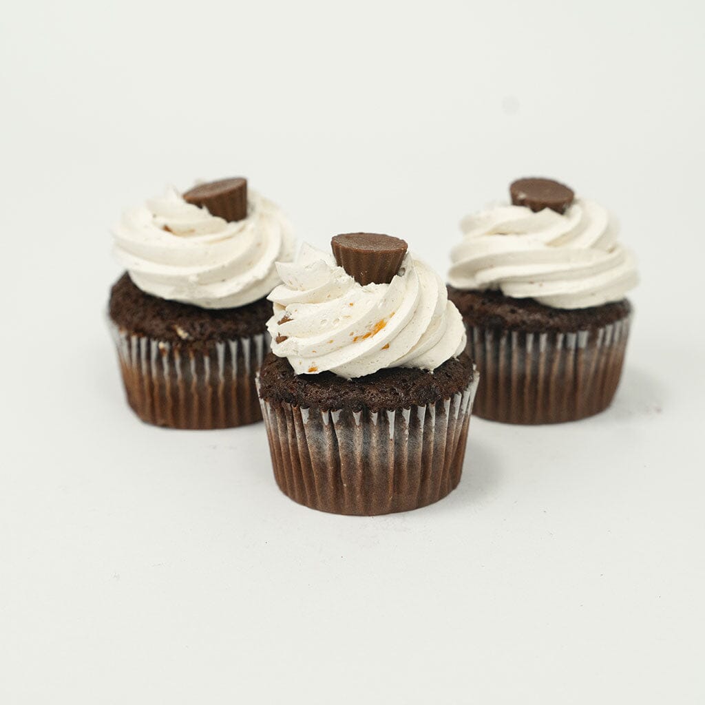 Chocolate Peanut Butter Vegas Cupcake Cupcake Freed's Bakery