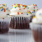 Buttercream Chocolate Vegas Cupcake Cupcake Freed's Bakery