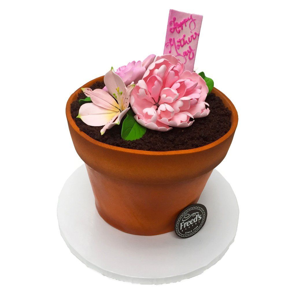 Flower Pot for Mom Mother's Day Freed's Bakery