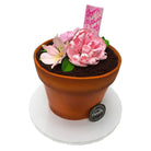 Flower Pot for Mom Mother's Day Freed's Bakery