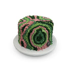Fuzzy Shag Rug Theme Cake Freed's Bakery