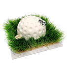 In The Rough Theme Cake Freed's Bakery