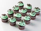 Mint Chocolate Chip Cupcake Cupcake Freed's Bakery
