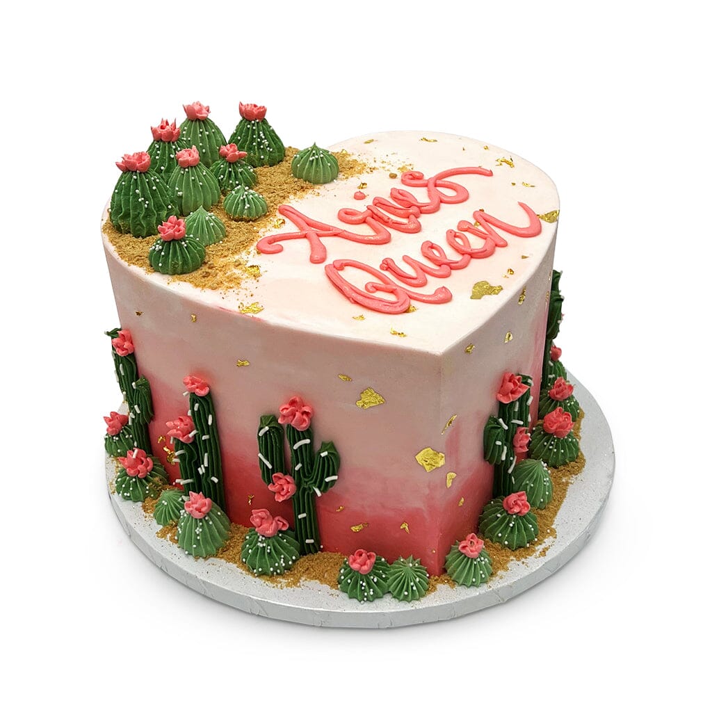 Pink Painted Desert Theme Cake Freed's Bakery 