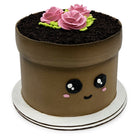 Garden Cutie Theme Cake Freed's Bakery 