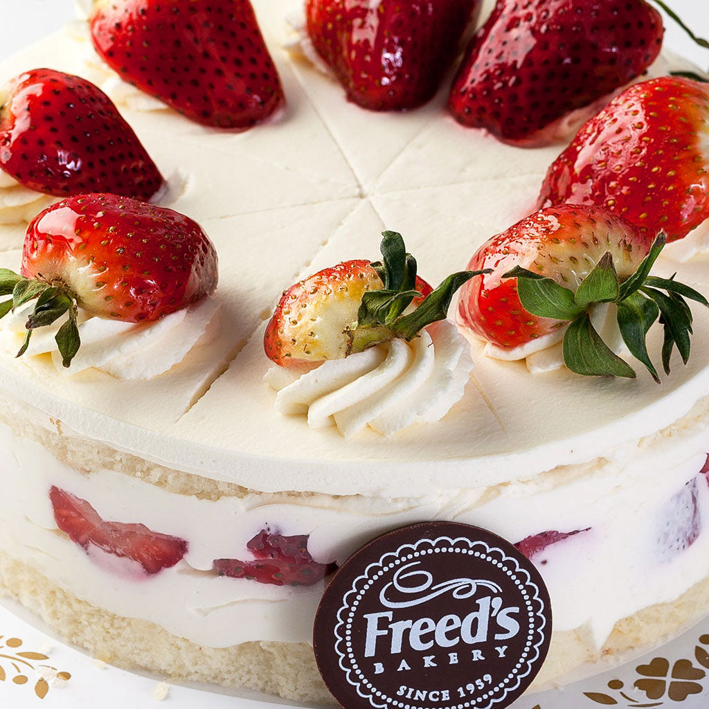 LV Dreaming – Freed's Bakery