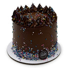 Sprinkled Chocolate Bliss Theme Cake Freed's Bakery 