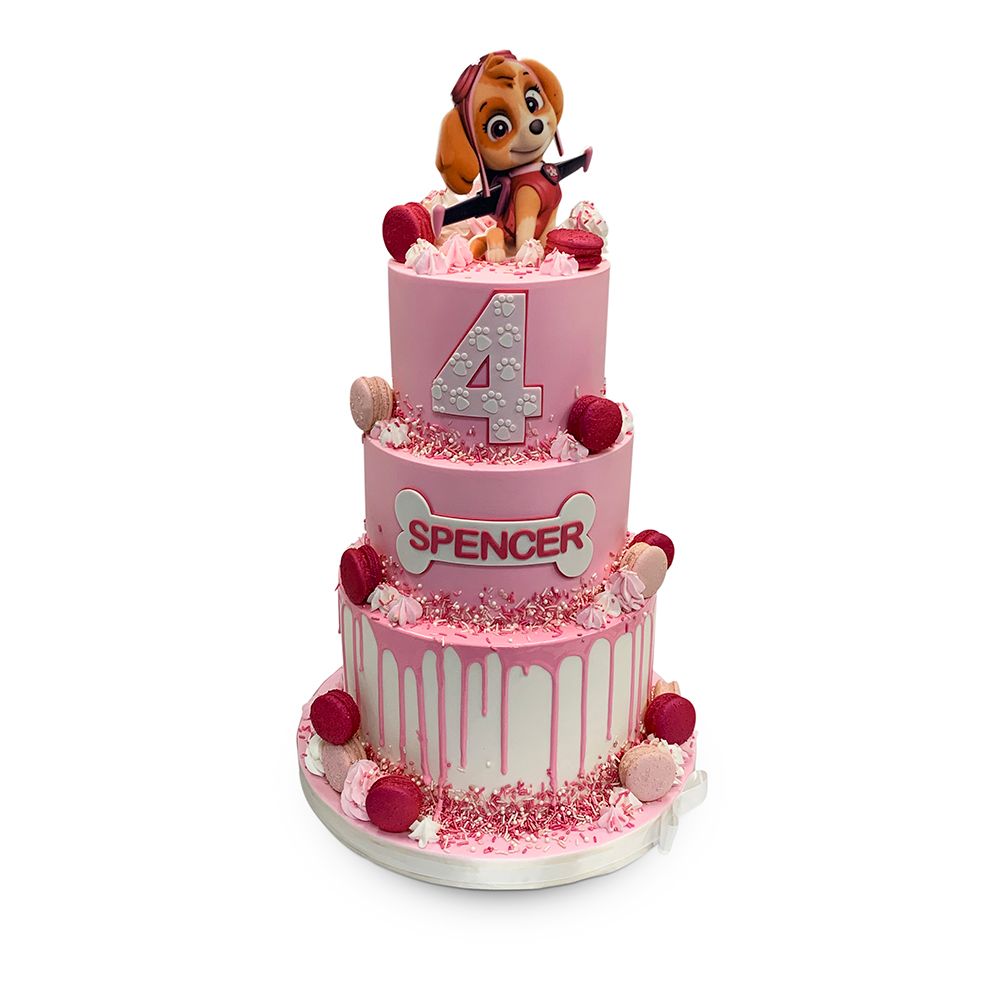 Pretty Pink Patrol Party Theme Cake Freed's Bakery 