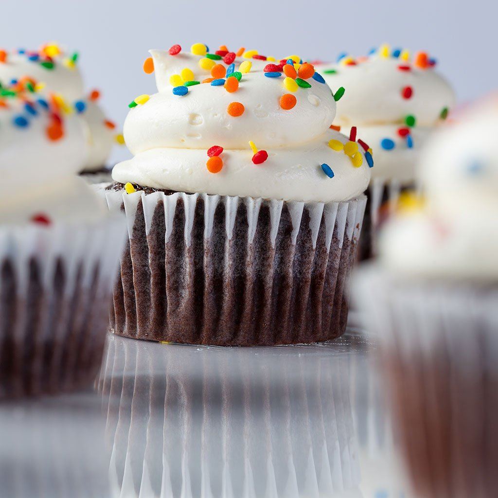 Buttercream Chocolate Vegas Cupcake Cupcake Freed's Bakery 