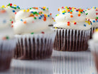 Buttercream Chocolate Cupcake Cupcake Freed's Bakery 