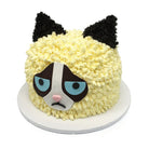 Grumpy Cat Theme Cake Freed's Bakery 