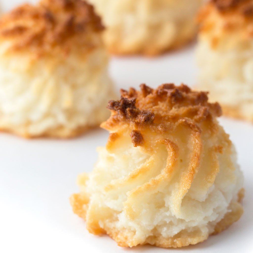 Coconut Macaroon Cookie Freed's Bakery 