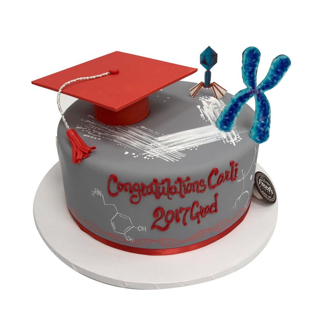 Scientific Graduation Theme Cake Freed's Bakery 