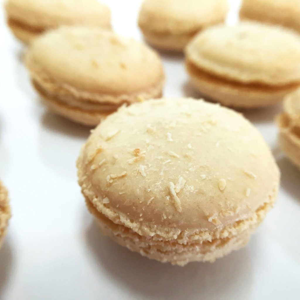 Toasted Coconut French Macaron French Macaron Freed's Bakery 