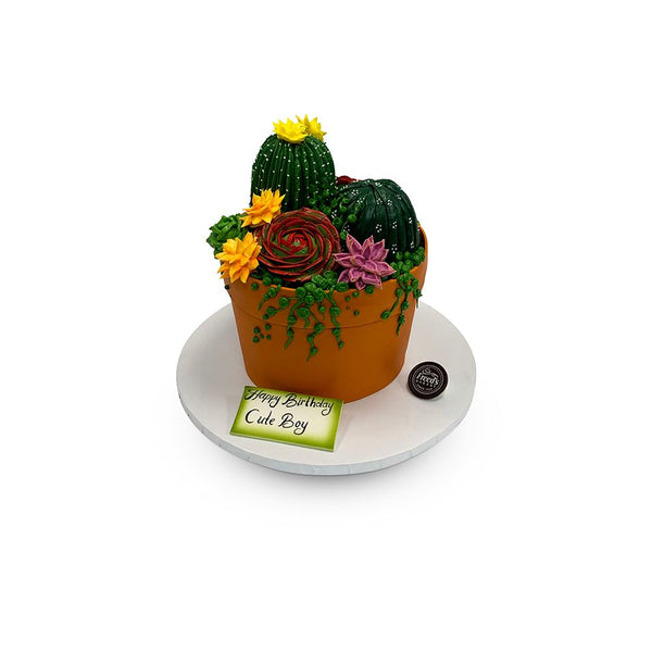 cactus gateau Potted Cactus Garden Cake 8